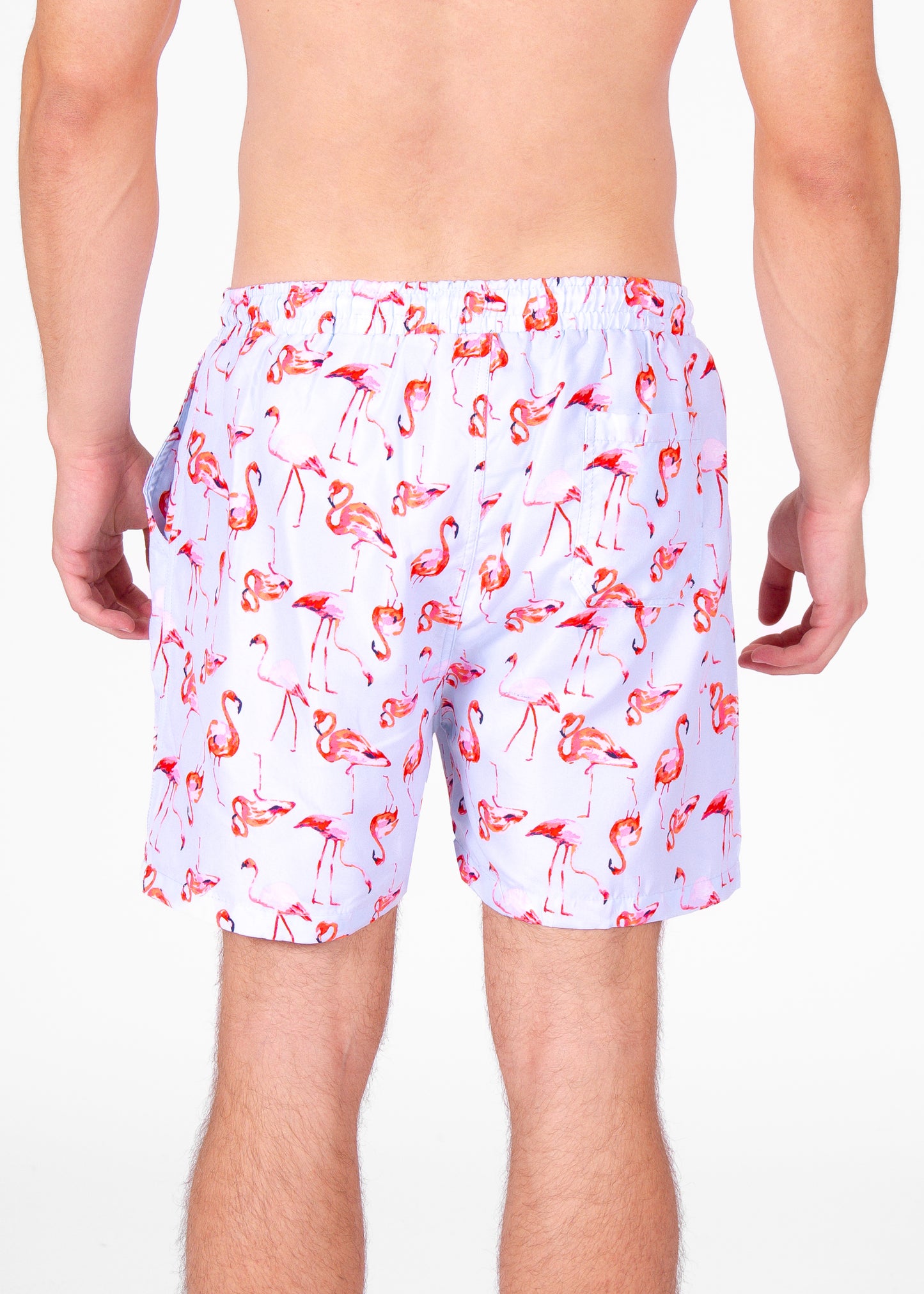 'Flamingo Guard' Swim Short