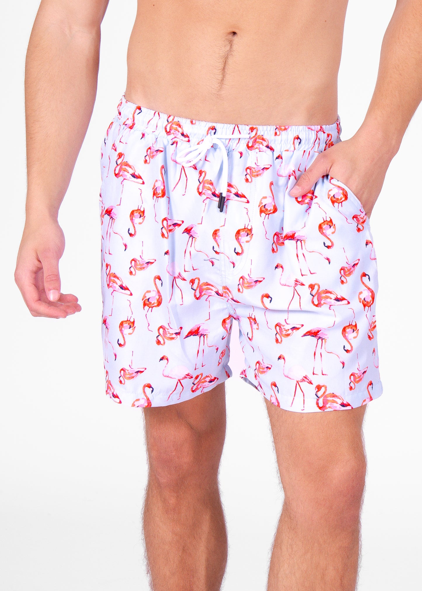 'Flamingo Guard' Swim Short