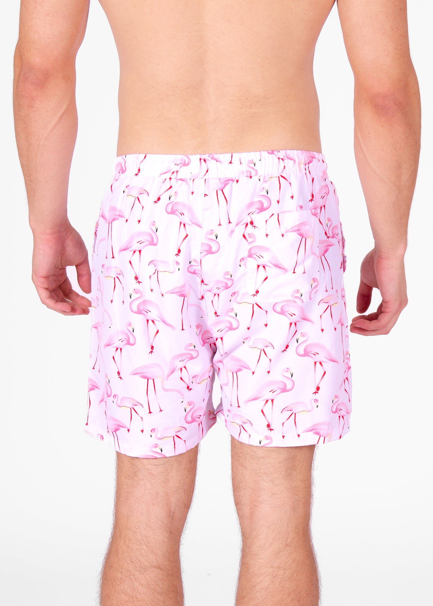 'Flamingo Dude' Swim Short