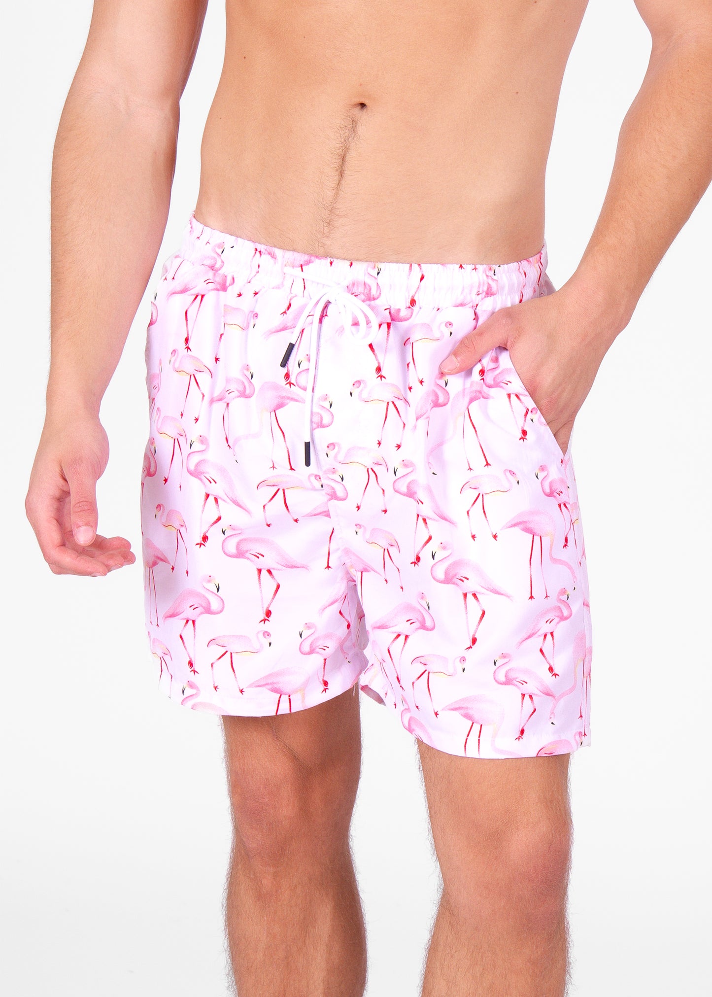 'Flamingo Dude' Swim Short